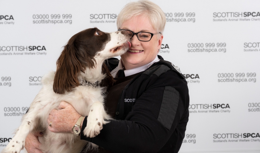 Sspca 2024 dog rehoming